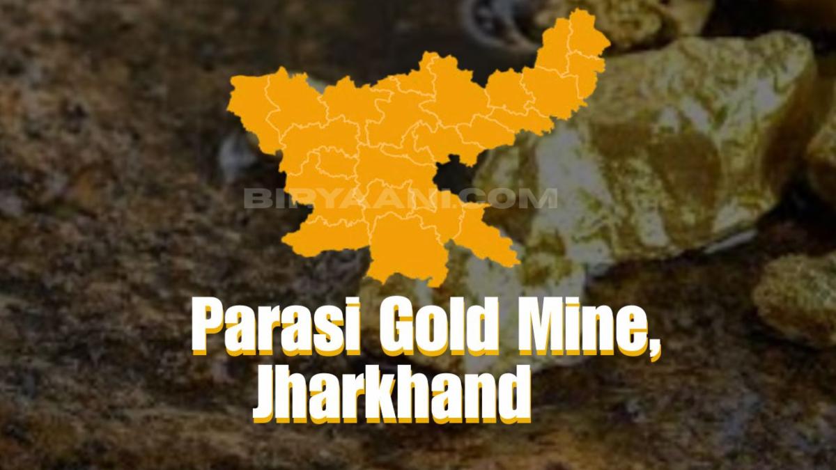 Five Legendary Gold Mines Shaping the Nation’s Modern Treasure Hunt