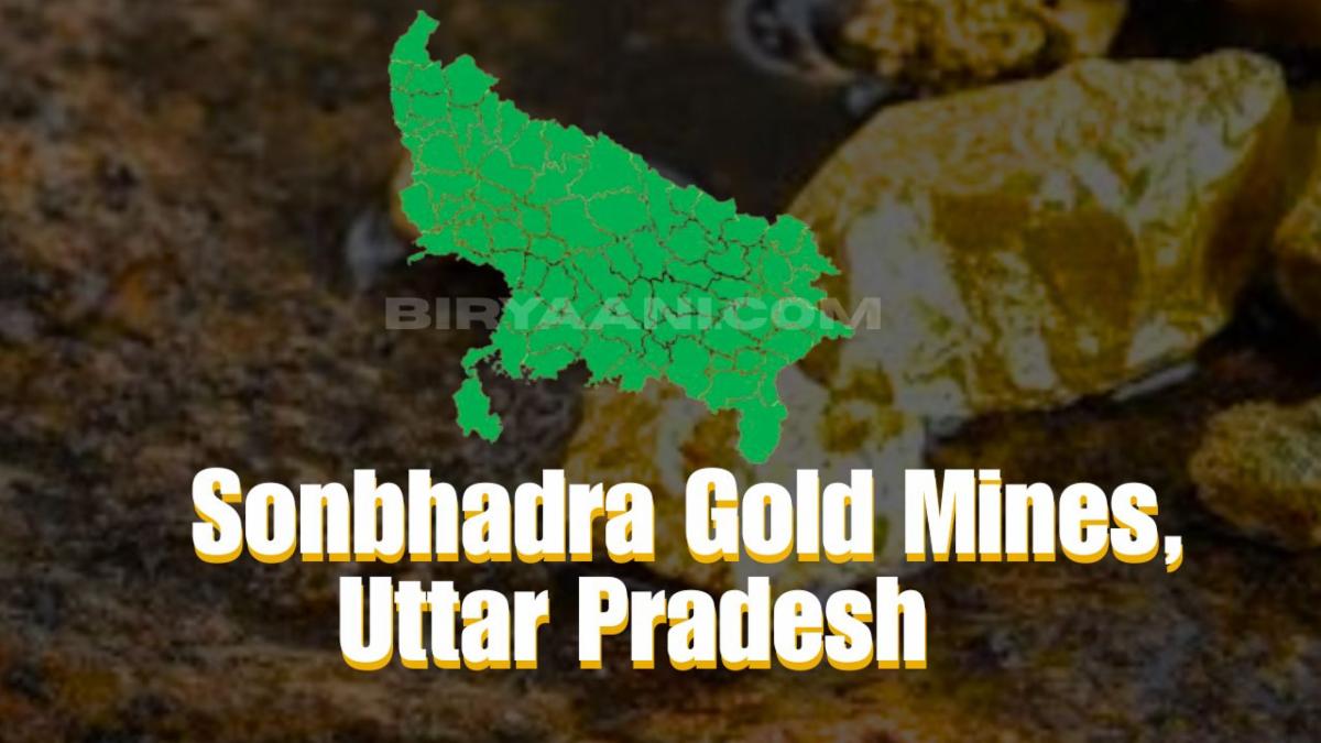 Five Legendary Gold Mines Shaping the Nation’s Modern Treasure Hunt
